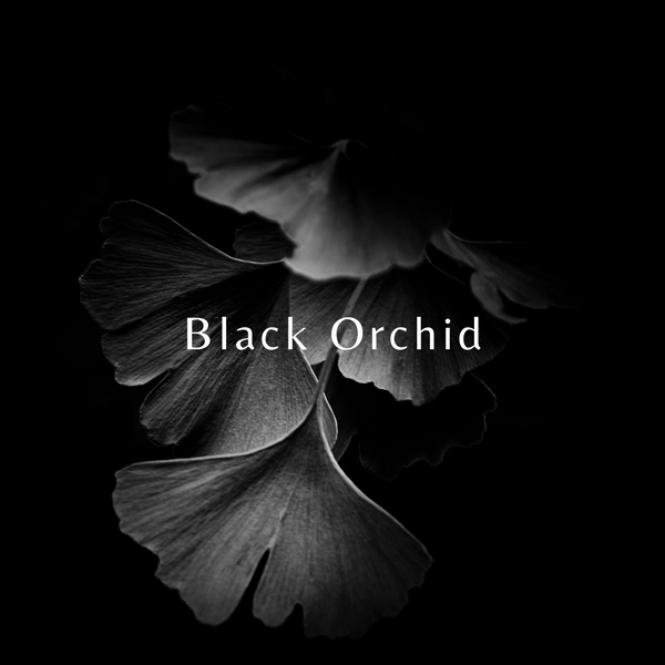 Black Orchid Fragrance Spray